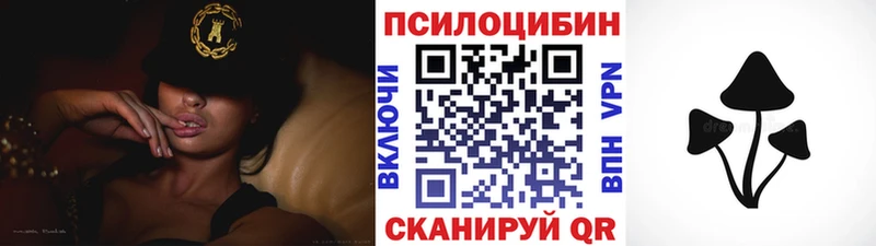 Галлюциногенные грибы ЛСД  Кашин 