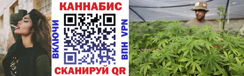 MEGA зеркало  Кашин  Шишки марихуана план 